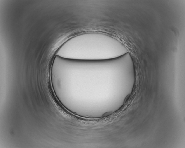 X0000111190005200907011019