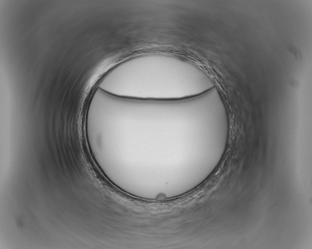 X0000111190006200907011019