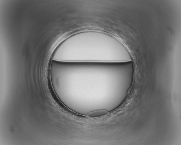 X0000111190007200907011018