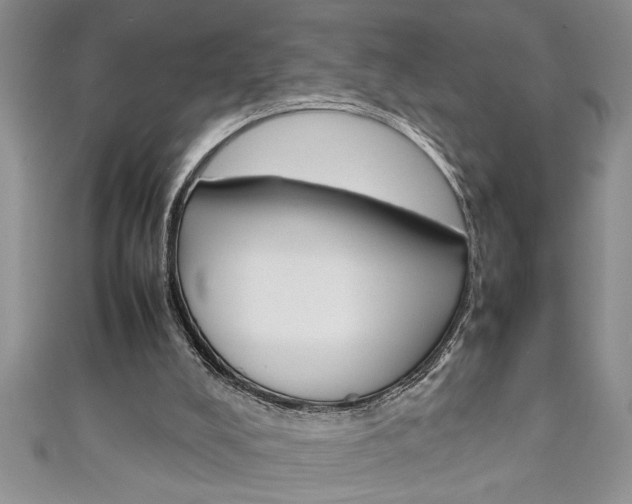 X0000111190008200907011018