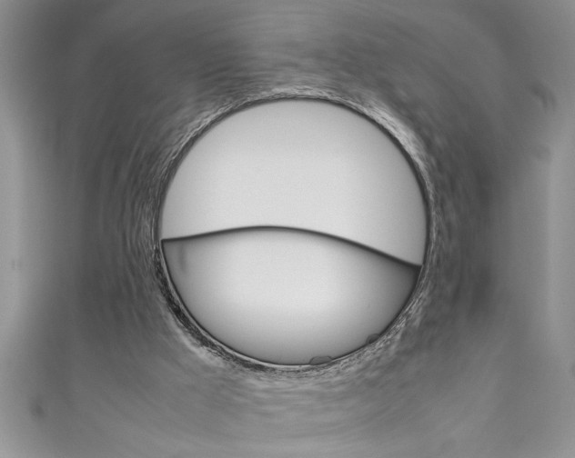 X0000111190009200907011018