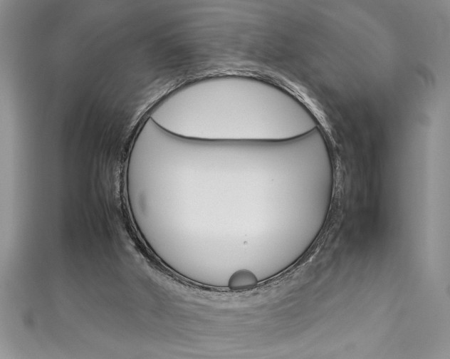 X0000111190010200907011018