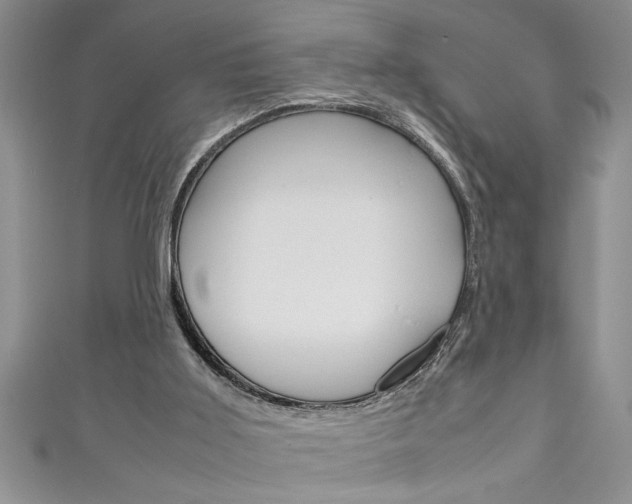 X0000111190011200907011018