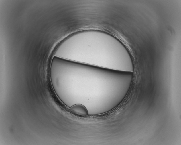 X0000111190012200907011018