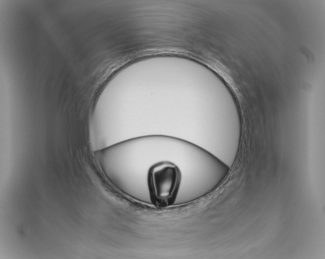 X0000111190013200907011018