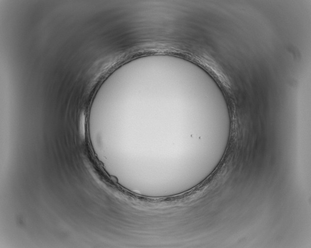 X0000111190014200907011018