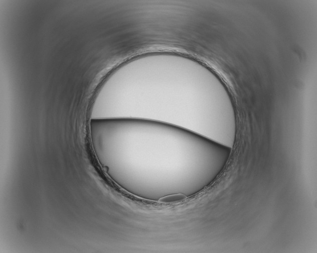 X0000111190015200907011018