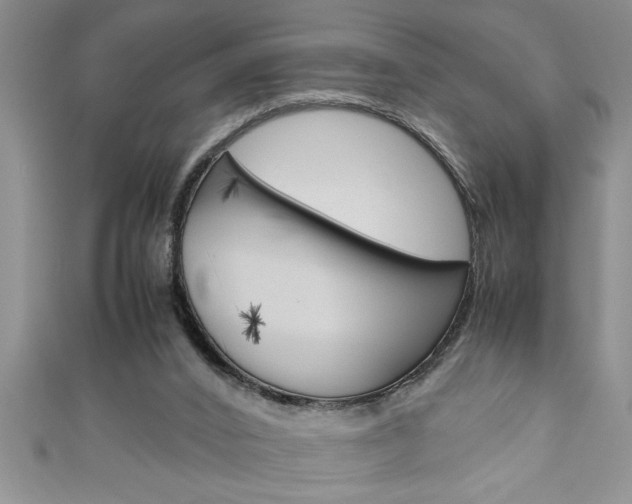 X0000111190016200907011018