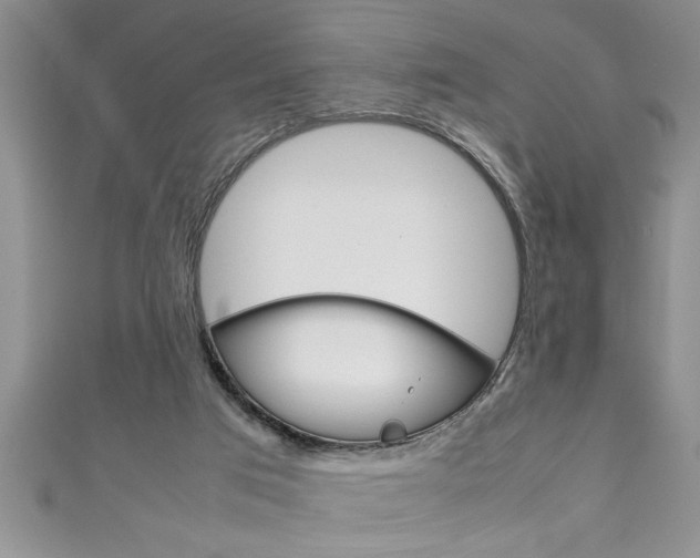 X0000111190017200907011018