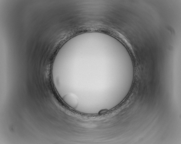 X0000111190018200907011018