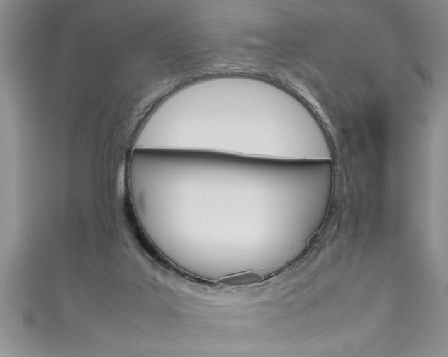 X0000111190019200907011018