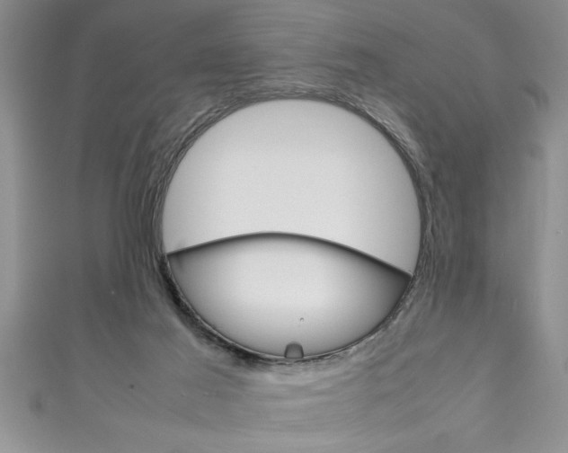 X0000111190021200907011018