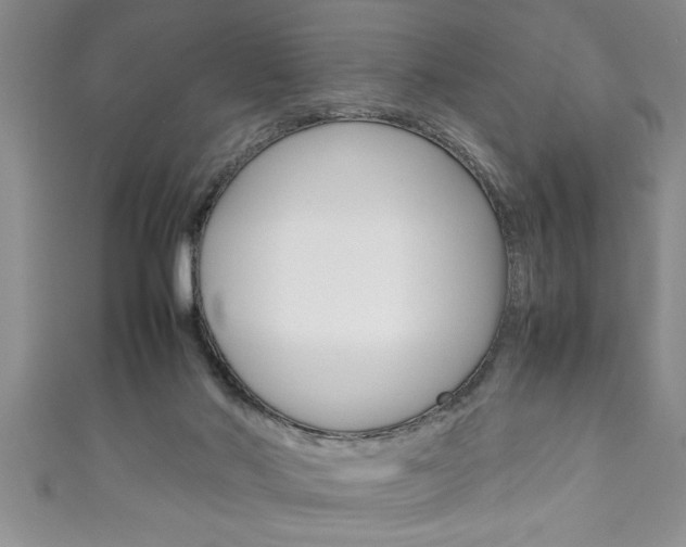 X0000111190022200907011018