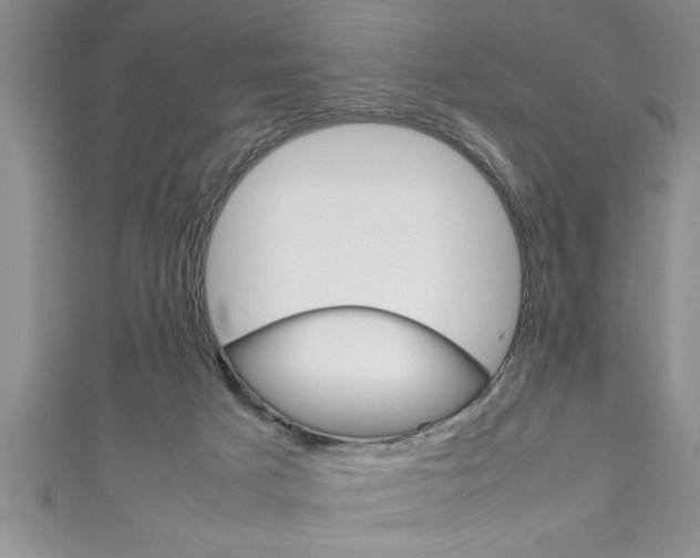 X0000111190025200907011018