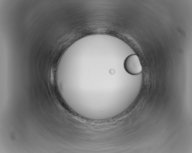 X0000111190026200907011018