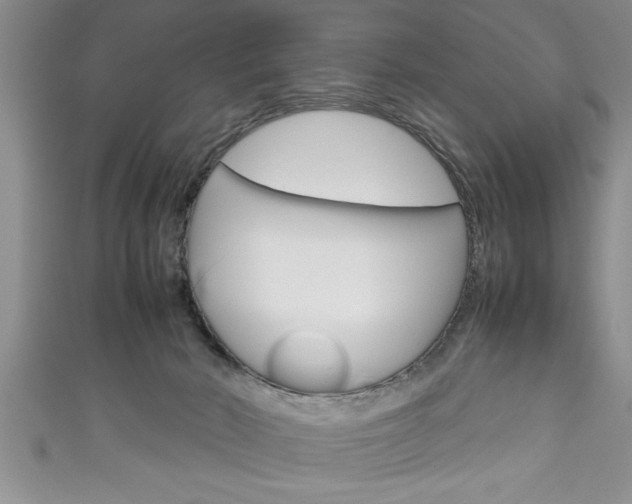 X0000111190030200907011018