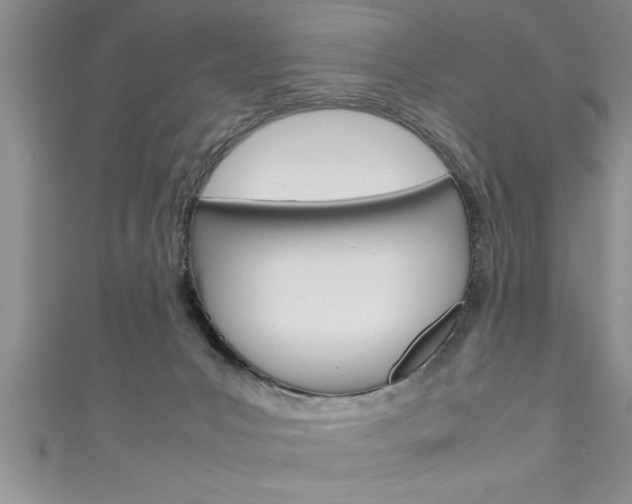 X0000111190031200907011018