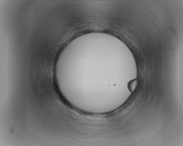 X0000111190032200907011018