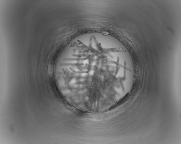 X0000111190033200907011018