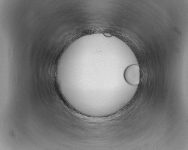 X0000111190034200907011018