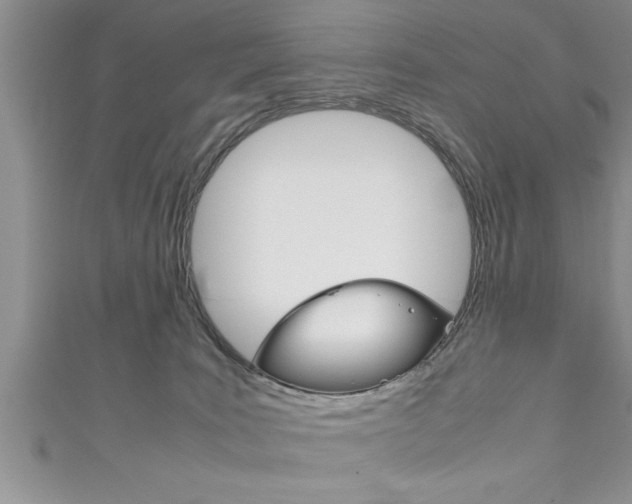 X0000111190035200907011018