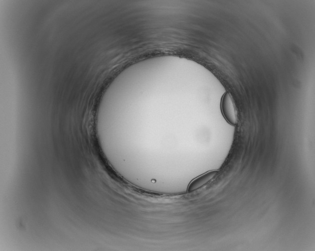 X0000111190036200907011018