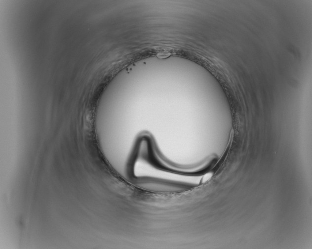 X0000111190037200907011018