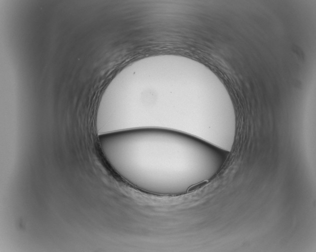 X0000111190039200907011018