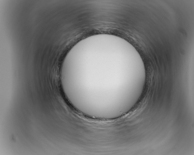 X0000111190040200907011018