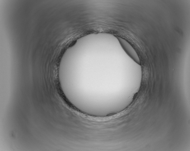 X0000111190043200907011018