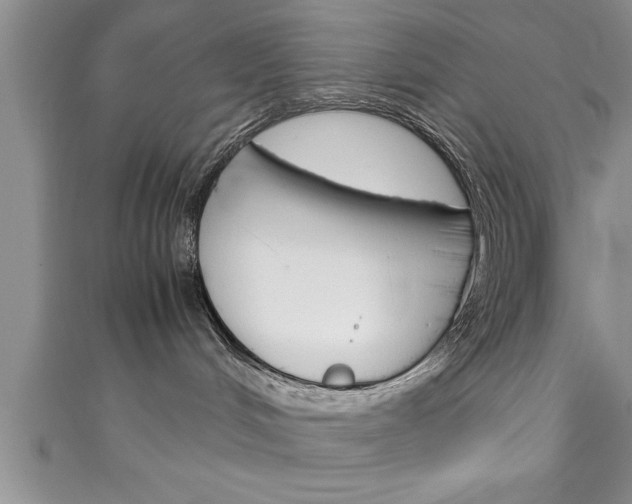 X0000111190048200907011018