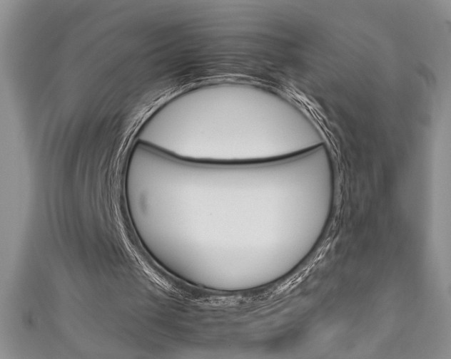 X0000111190049200907011017