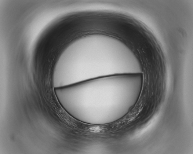 X0000111190050200907011017