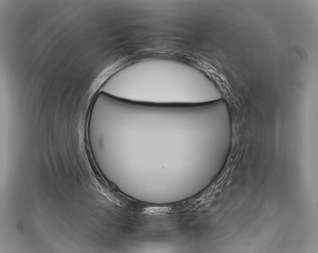 X0000111190051200907011017