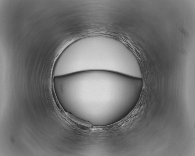 X0000111190052200907011017