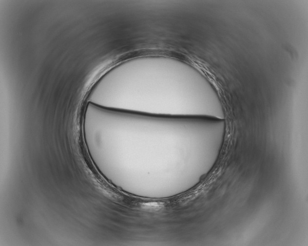 X0000111190053200907011017