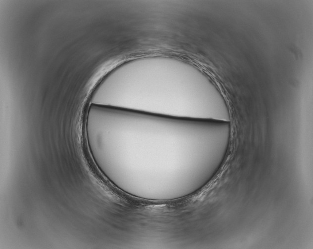 X0000111190054200907011017