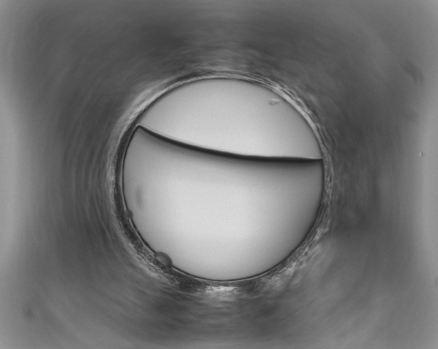 X0000111190055200907011017