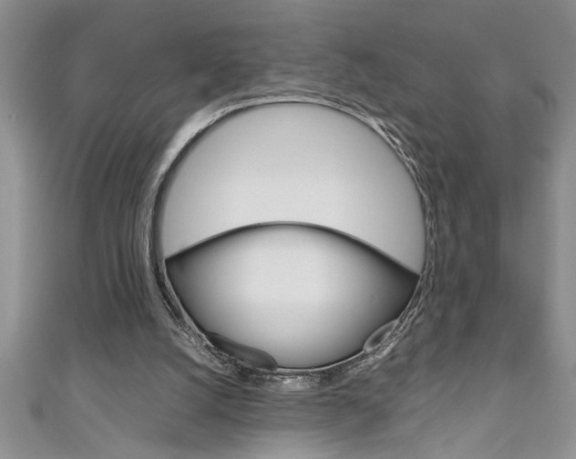 X0000111190056200907011017