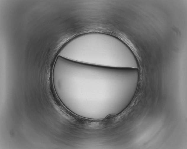 X0000111190058200907011017