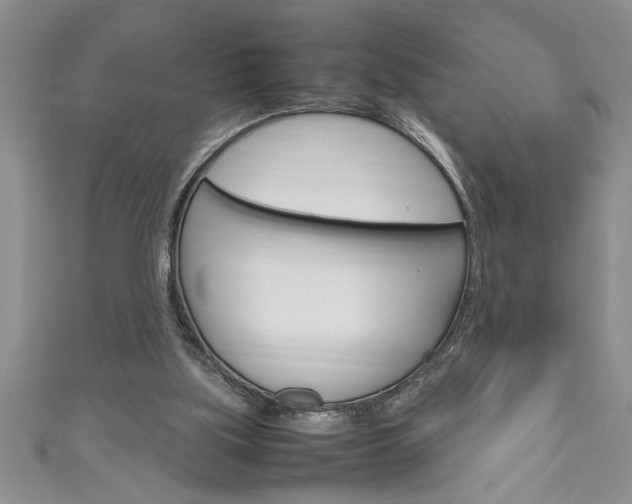 X0000111190059200907011017