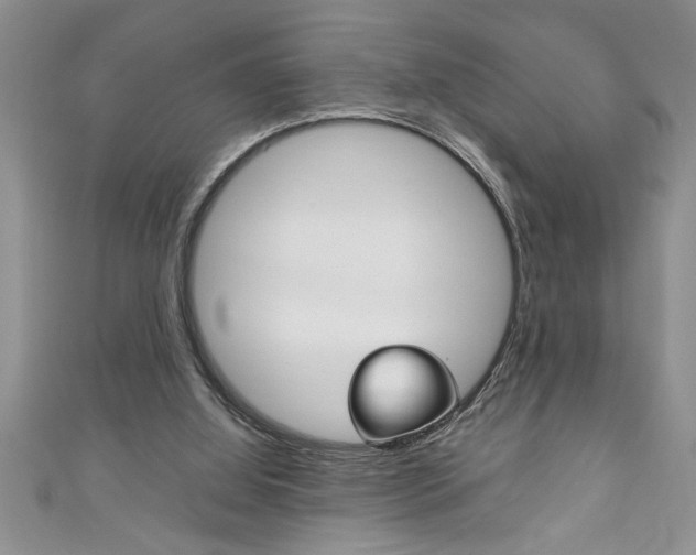 X0000111190060200907011017