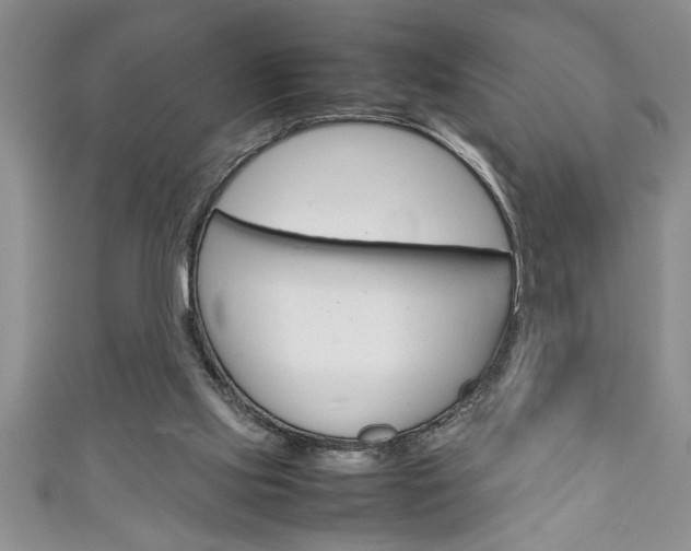 X0000111190061200907011017