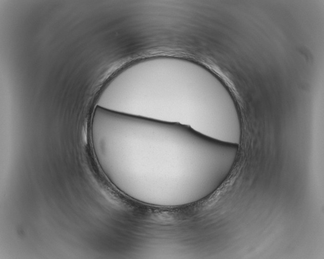 X0000111190062200907011017