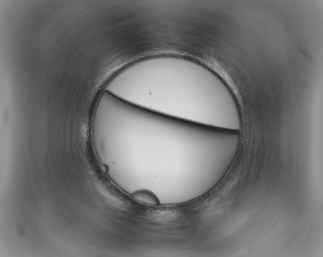 X0000111190063200907011017