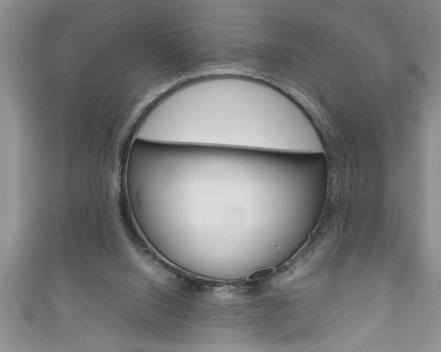 X0000111190064200907011017