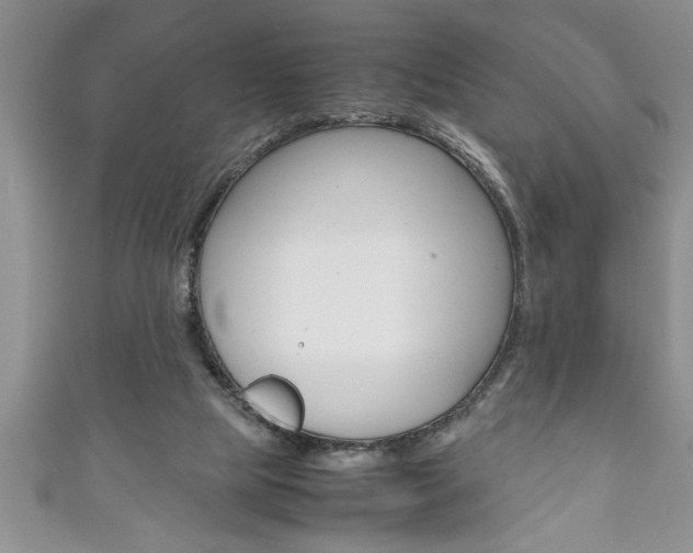 X0000111190065200907011017