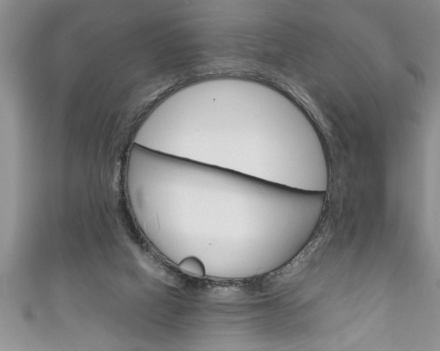 X0000111190066200907011017