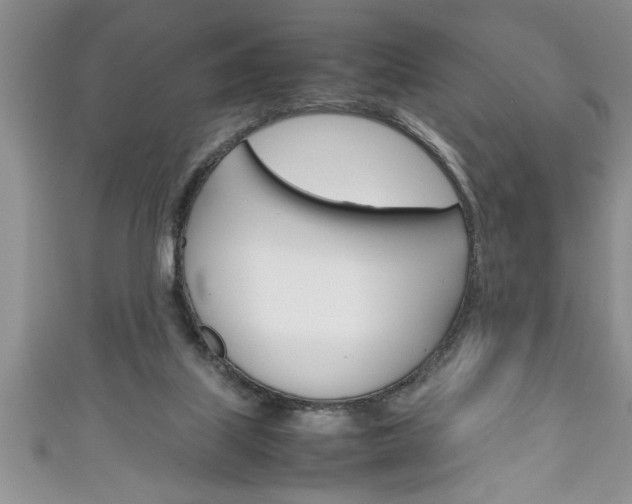 X0000111190067200907011017