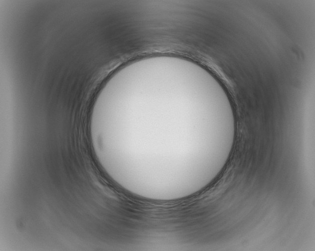 X0000111190068200907011017